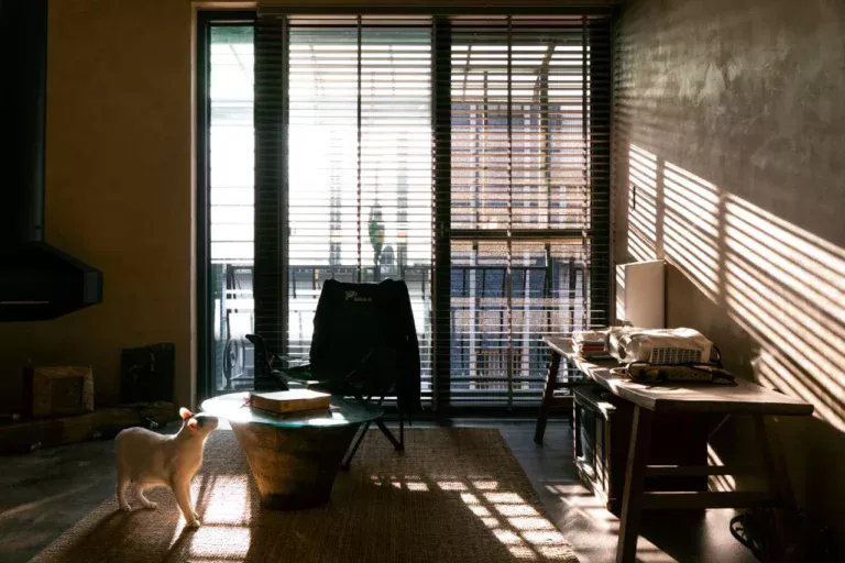 內湖室內設計、台北室內設計、室內裝潢、空間設計、老屋翻修、舊屋翻新、侘寂、Wabisabi、光影、樺木夾板、斯曼特、鈴鹿塗料、客廳